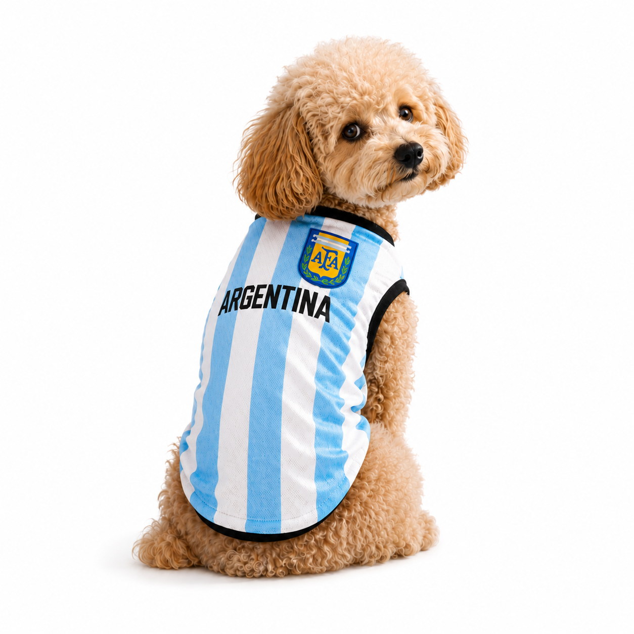 Argentina Jersey