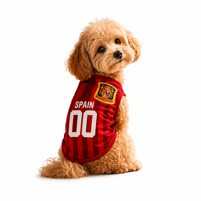 Spain Jersey