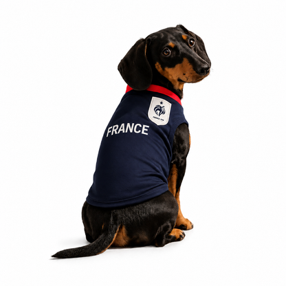 France Jersey