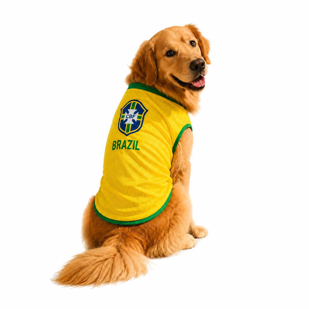 Brazil Jersey
