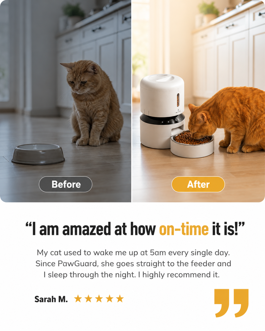 PawGuard Smart Feeder