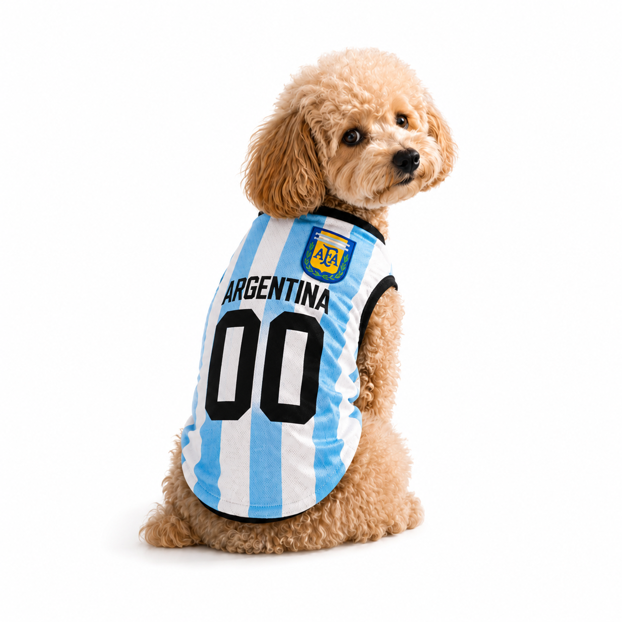 Argentina Jersey