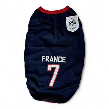 France Jersey