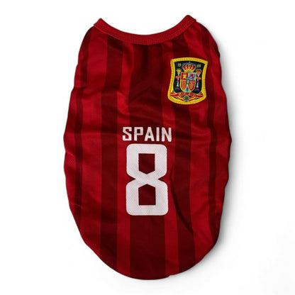Spain Jersey